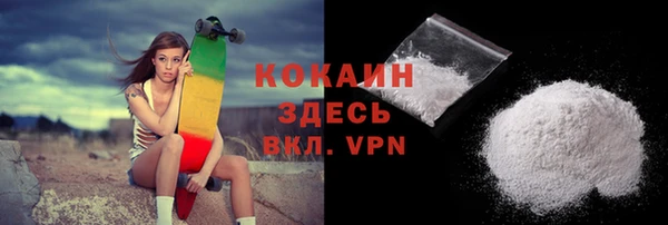 шишки Армянск