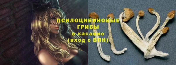 таблы Новодвинск