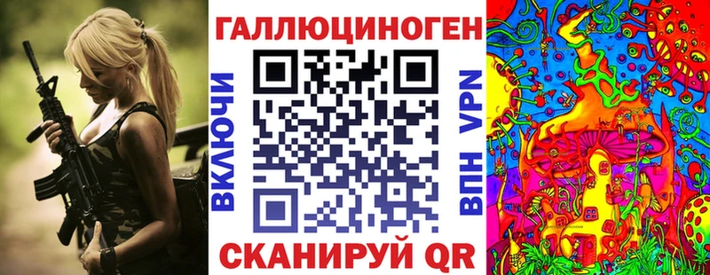 дарнет шоп  Сокол  Псилоцибиновые грибы Cubensis 