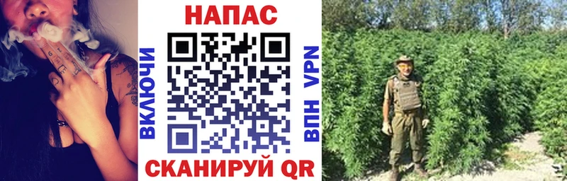 Каннабис индика  ОМГ ОМГ   Сокол 